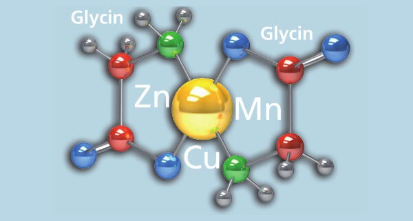 JOSERA graphic shows connection of elements