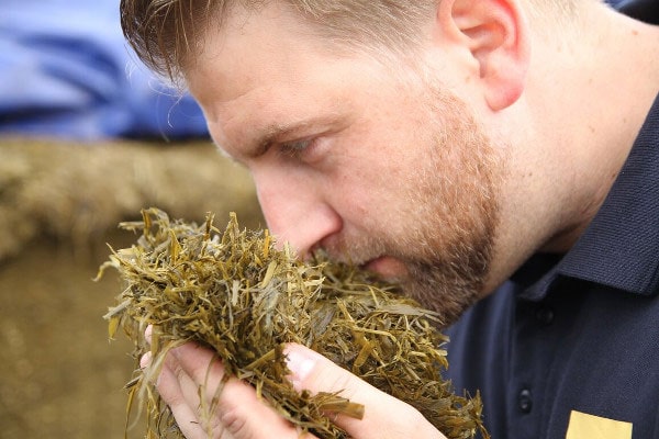 Sensory silo control - Detecting and treating the symptoms of poor fermentation silage