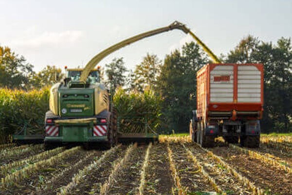 JOSILAC machines during the maize harvest