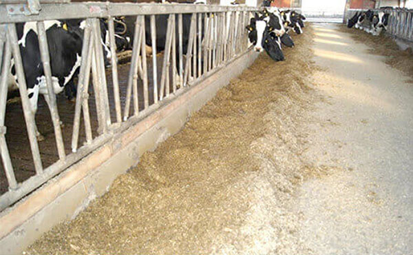 JOSERA feedration was eaten evenly over the entire feed table