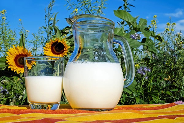 JOSERA milk glas on table