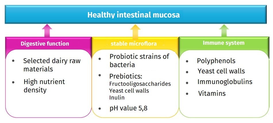 JOSERA table shows healthy intestinal mucosa