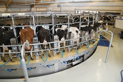 JOSERA rotary milking parlor