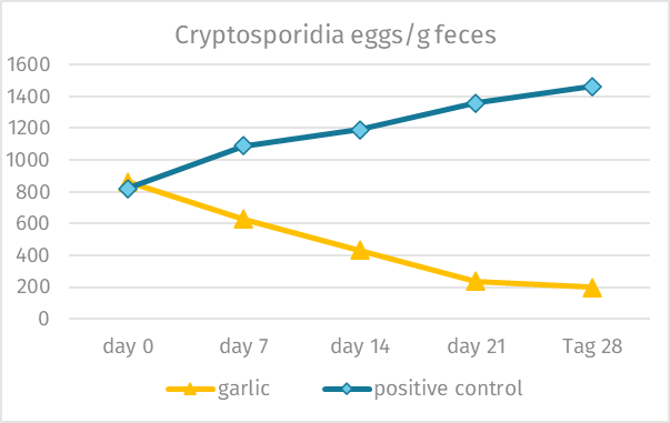 graphic GastroVit - Inhibition of cryptosporidia