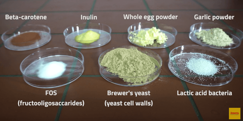 ingredients of GastroVit