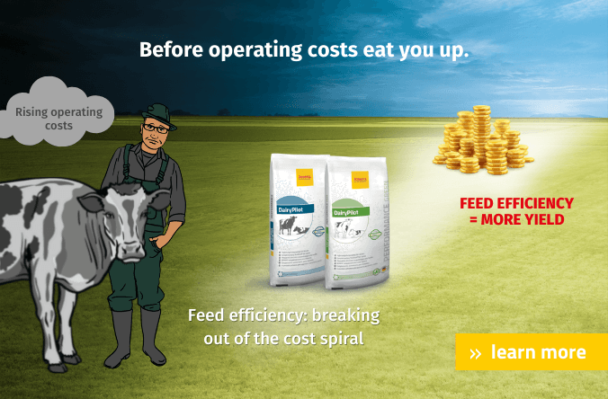 JOSERA DairyPilot feed efficiency