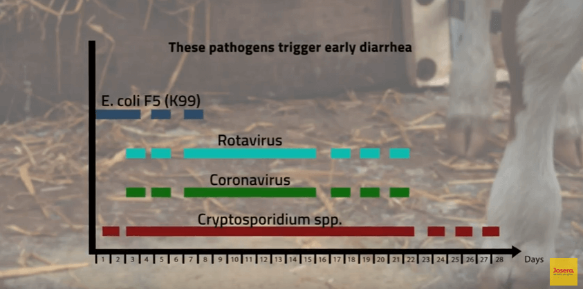 Graphic-triggers for early diarrhea