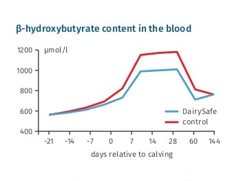 JOSERA graphic shows ß-hydroxybutyrate content in the blood