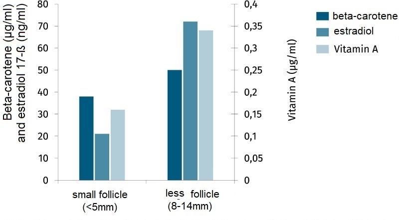 JOSERA graphic shows beta-carotene and estradiol follicle