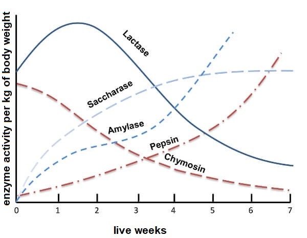 JOSERA graphic shows development of enzyme activity