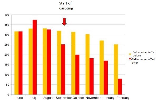 JOSERA table shows cell numbers of caroting