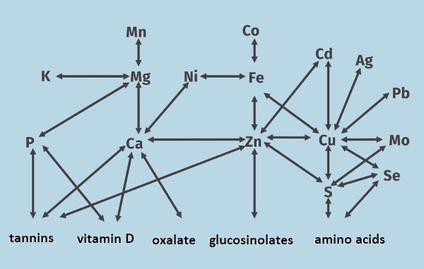 JOSERA Correlation of the elements